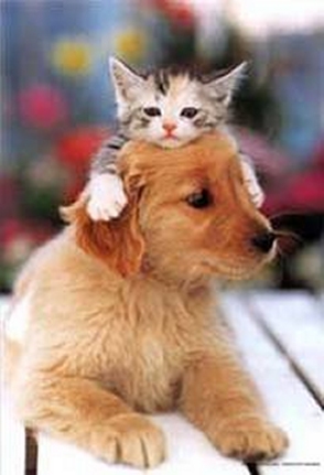 chatchien