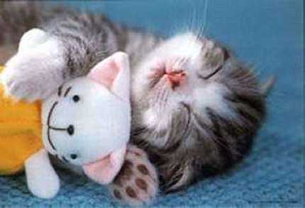 minou*